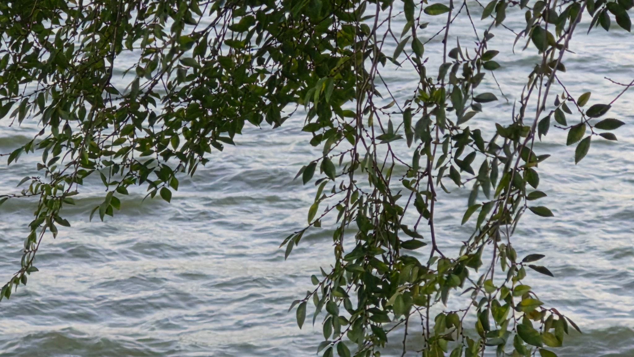 Blue Silence photograph